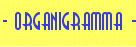Organigramma societ New Volley Ranica